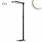 Preview: LED Office Pro Stehleuchte Up&Down, 80W+20W, schwarz, UGR<19, neutralweiß, Touch-Dimm, CH-Stecker