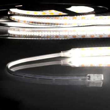 LED CRI940 MiniAMP Flexband, 12V DC, 12W, IP20, 4000K, 120cm, beids. 30cm Kabel + maleAMP, 300 LED/m