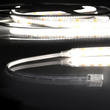 LED CRI940 MiniAMP Flexband, 24V DC, 12W, IP20, 4000K, 120cm, beids. 30cm Kabel + maleAMP, 300 LED/m