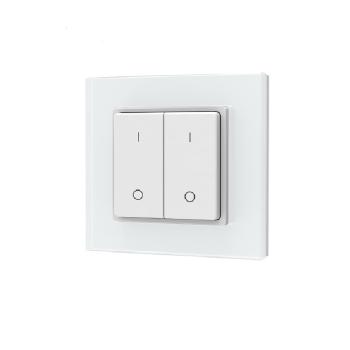Sys-Pro Single Color 2 Zonen Aufputz-Tast-Fernbedienung mit Batterie