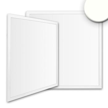 LED Panel Backlight Line 625 UGR<19 8H/8H, CRI90, 36W, neutralweiß