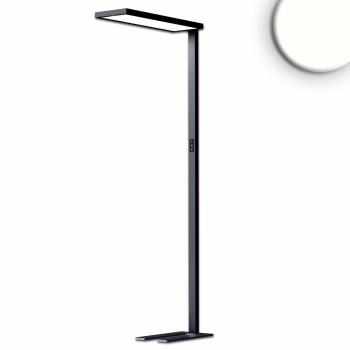 LED Office Pro Stehleuchte Up&Down, 80W+20W, schwarz, UGR<19, neutralweiß, Touch-Dimm