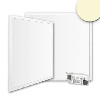LED Panel Business Line 625 UGR<19 2H/2H, 36W, weiß RAL9016, warmweiß, PowerSwitch 21-40W