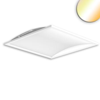 LED Panel Infinity Line 625 UGR<19 4H/8H, CRI80, 36W, ColorSwitch 3000|4000|6000K, Push/DALI dimmbar