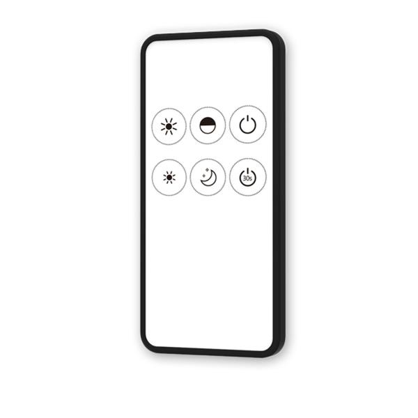 Sys-Pro Single Color 1 Zone Fernbedienung Mini
