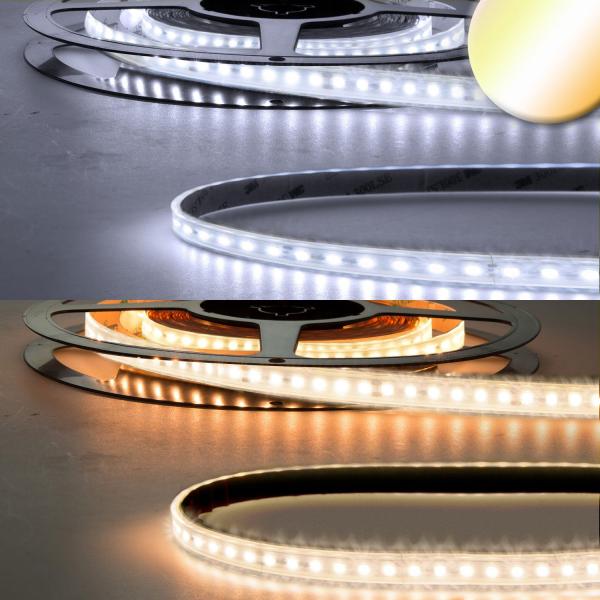 LED AQUA CRI923/950 CCT Flexband, 24V DC, 10W ww | 10W kw, IP68, 5m Rolle, 240 LED/m