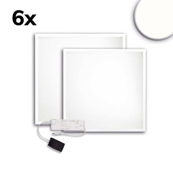 LED Panel ECO Backlight Line 625 UGR<19 2H/2H, CRI80, 36W, neutralweiß, 6er Pack, dimmbar