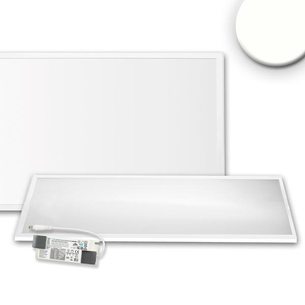 LED Panel Professional Line 308x1245mm, UGR<19 4H/8H, 36W, RAL9016, neutralweiß, PowerSwitch 21-40W